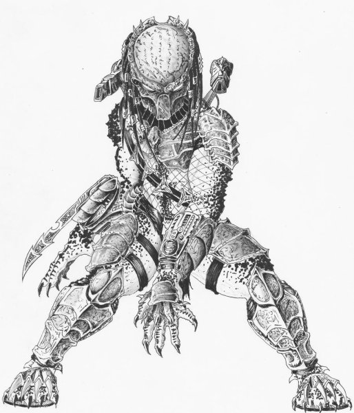 Хищник рисунок карандашом