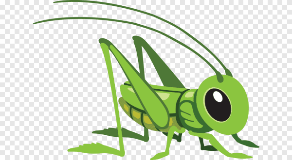 Кузнечики мультяшные