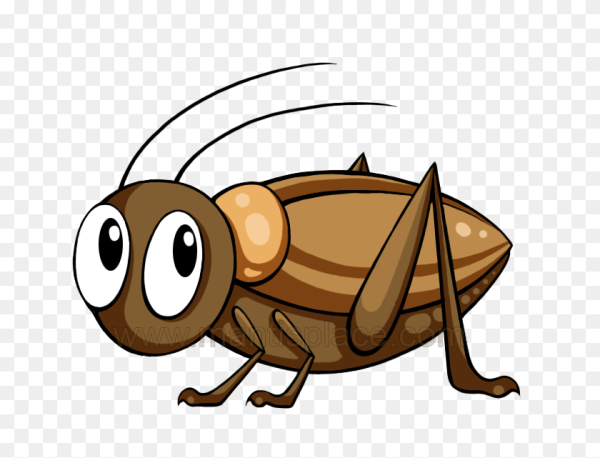 Мультяшные насекомые