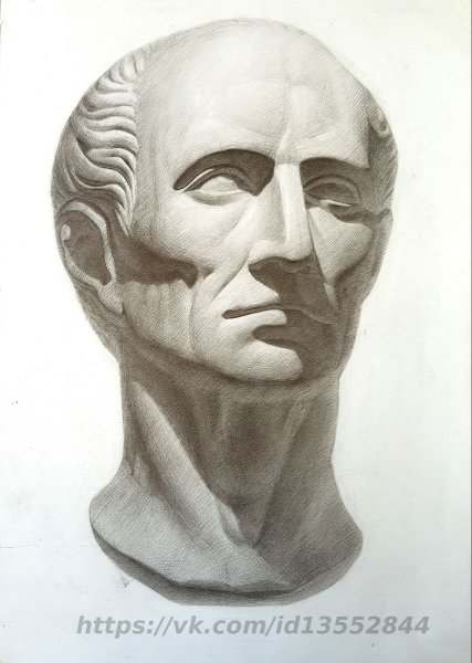 Гаттамелата гипсовая голова Академический рисунок