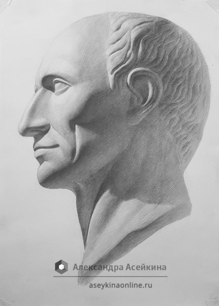 Голова Цезаря МАРХИ