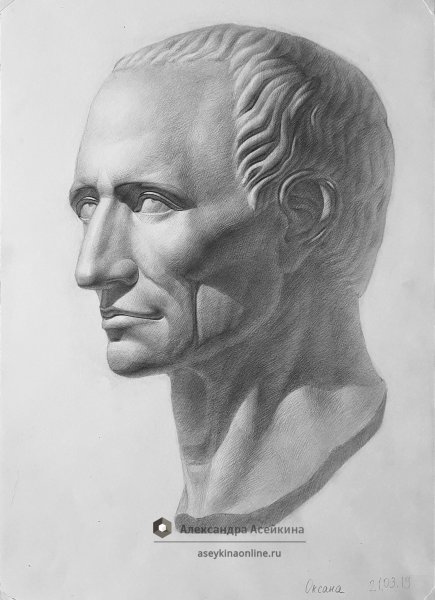 Цезарь рисунок гипсовой головы