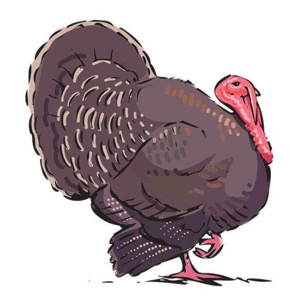 Индюк мультяшный