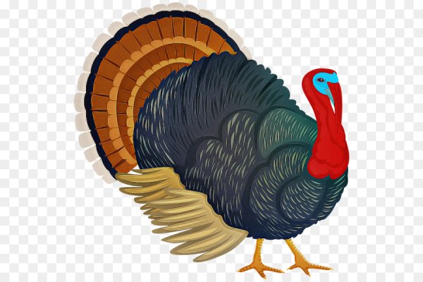 Индюк индюшка индюшонок мультяшные