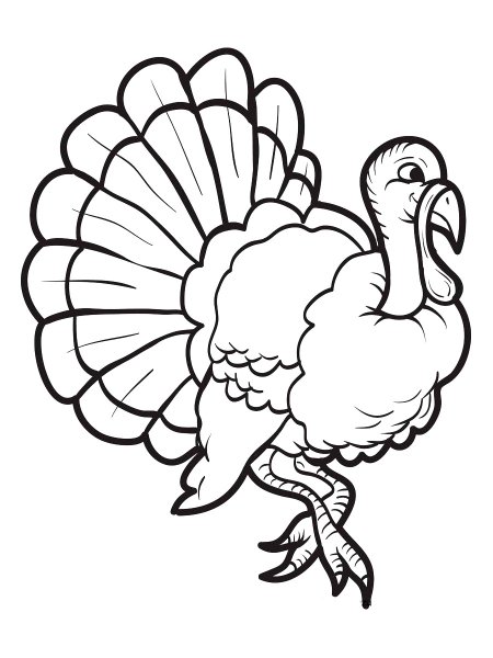 Индюк векторный