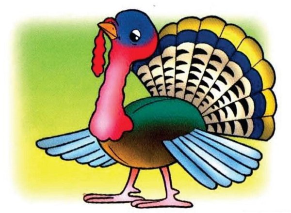 Индюк индюшка и индюшата раскраска