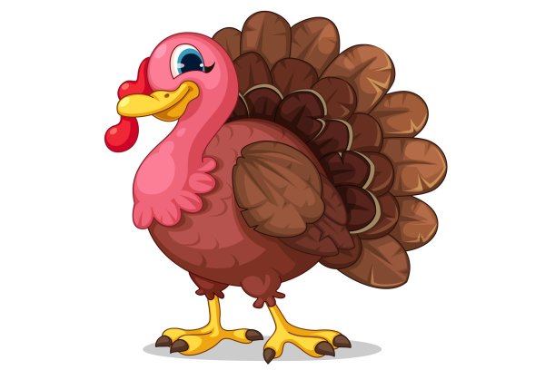 Индюк контур