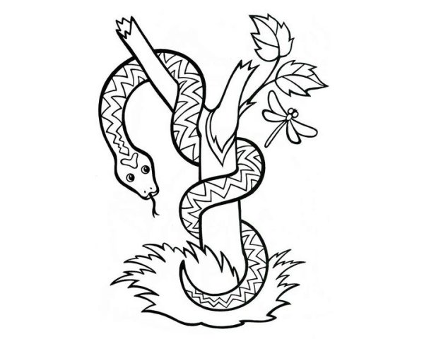 Змея картинка раскраска