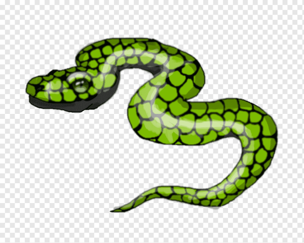 Змея рисунок для детей