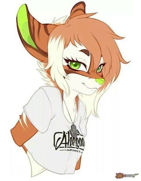 Фурри для срисовки