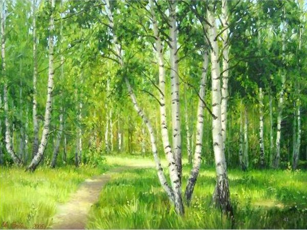 Владимир Деревенчук Березовая роща