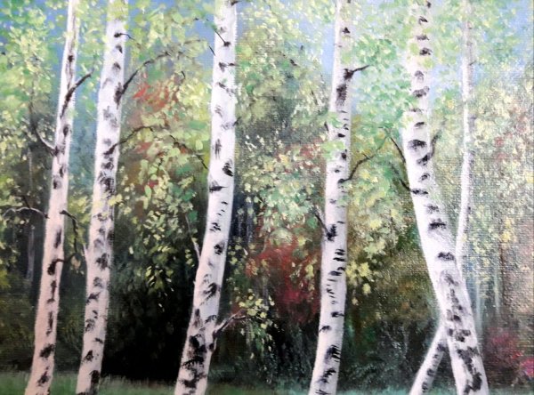 Березовая роща для детей