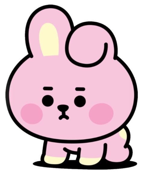 Cooky из bt21