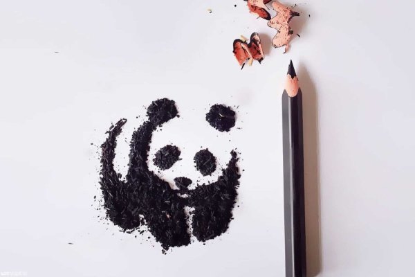 Инсталляция из стружки карандаша