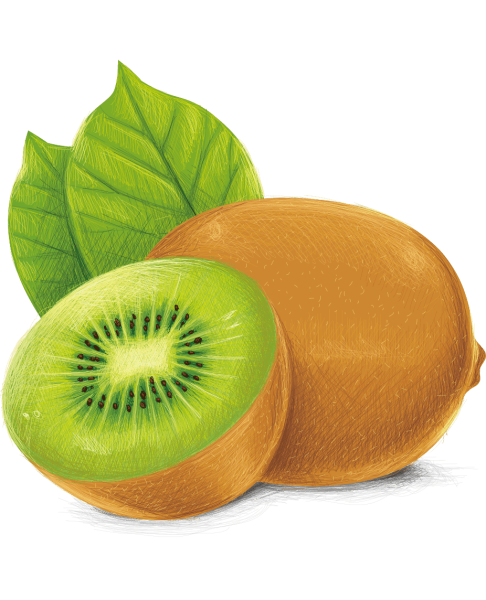 Фрукты на прозрачном фоне