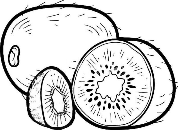 Киви фрукт нарисовать