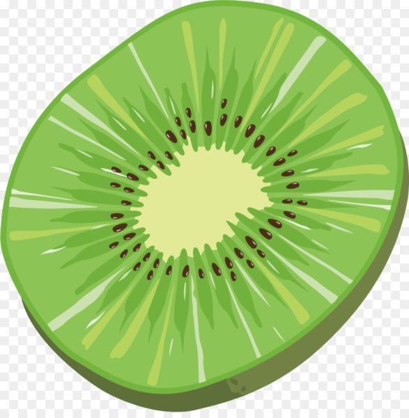 Киви фрукт вектор