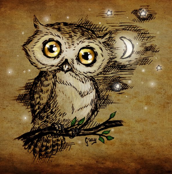 Сова иллюстрация