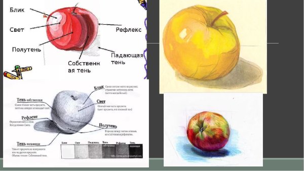 Свет тень полутень рефлекс блик в рисунке