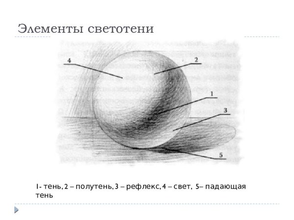 Свет тень полутень рефлекс блик в рисунке карандашом