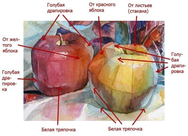 Блик тень полутень рефлекс в рисунке