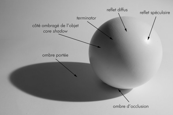 Шар тон полутон рефлекс