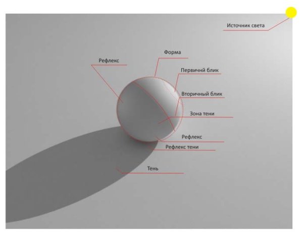 Тень полутень рефлекс
