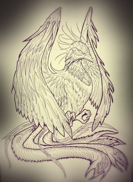 Птица Феникс рисунок