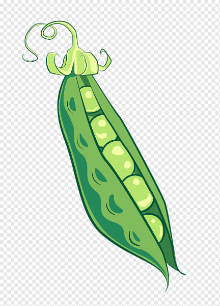 Зеленый горошек вектор