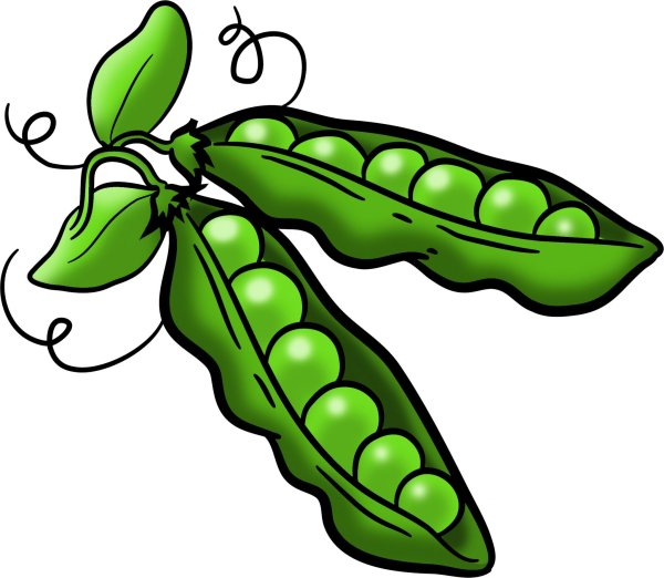 Горошек стручок
