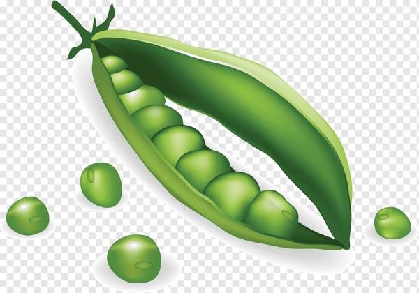 Горошины гороха цветные