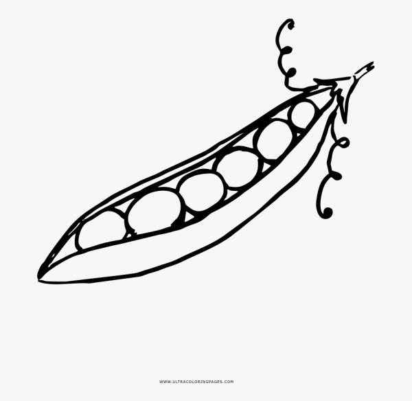 Стручок гороха контур