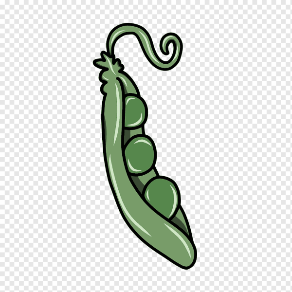 Раскраска стручок гороха без гороха