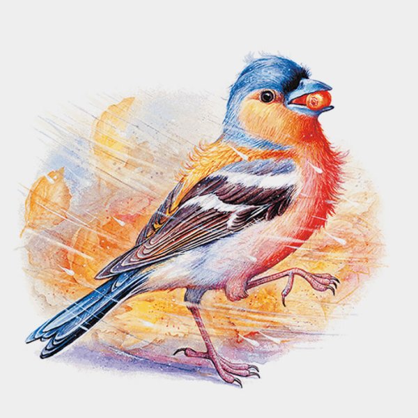 Николай Сладков Зяблик