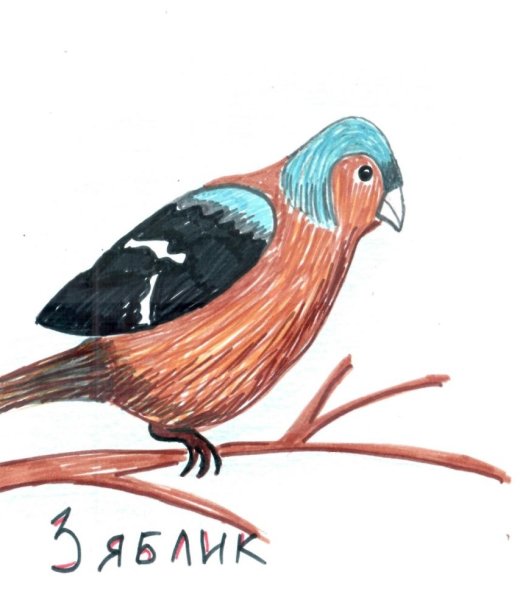 Нарисовать зяблика