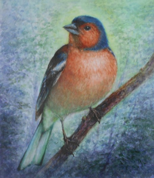 Кайгородова Зяблик