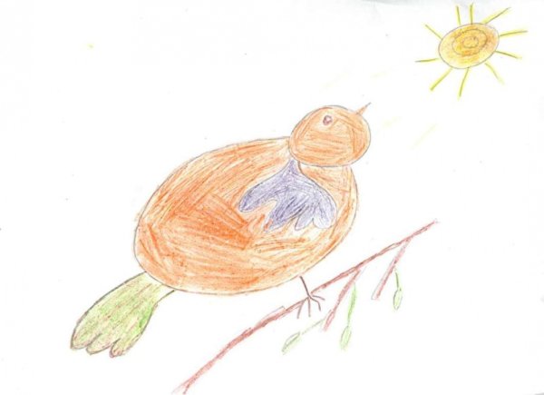 Зяблик карандашом