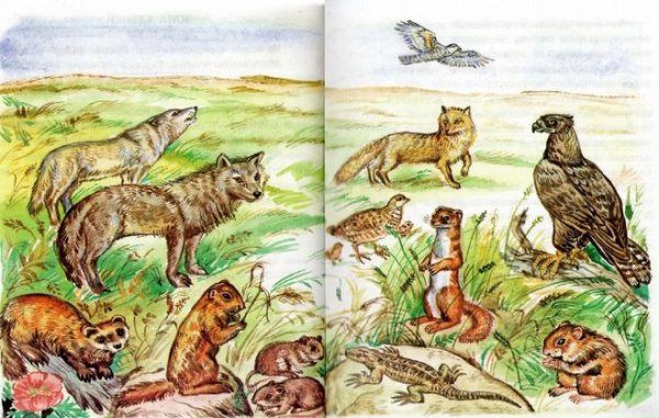 Степь и ее обитатели