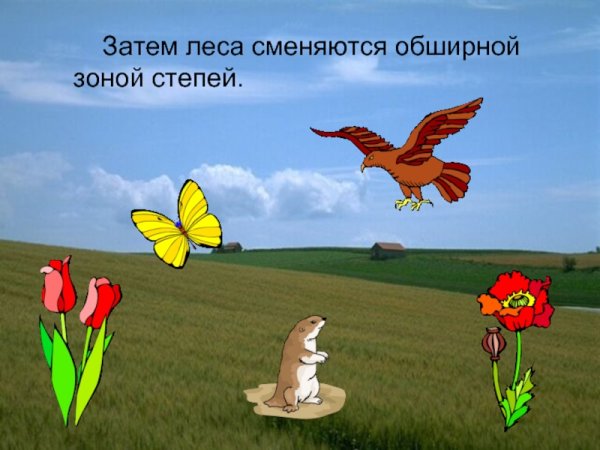 Зона степей