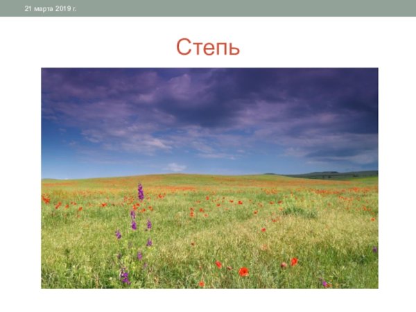 Рисунок на тему степь