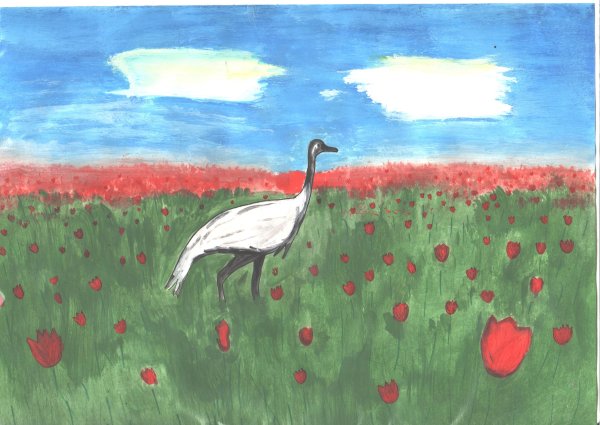 Рисунок на тему зона степей