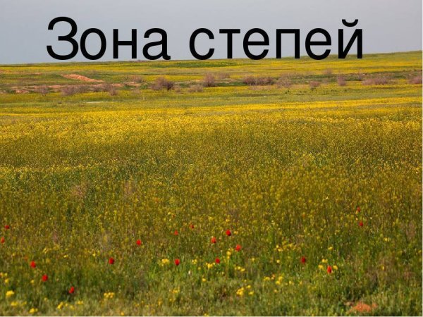 Степь рисунок