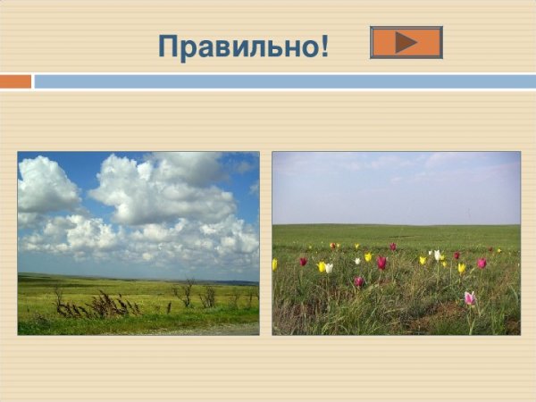 Зона степей в Евразии