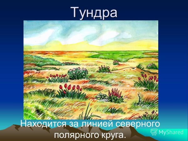 Зоны степей названия