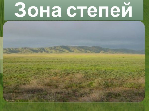 Рисунок степи 4 класс окружающий мир