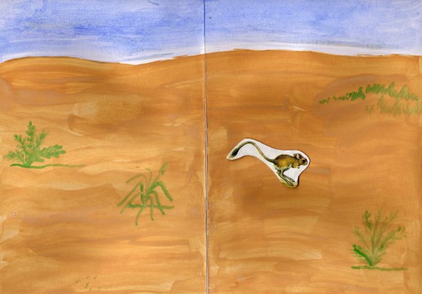 Зона степей рисунок