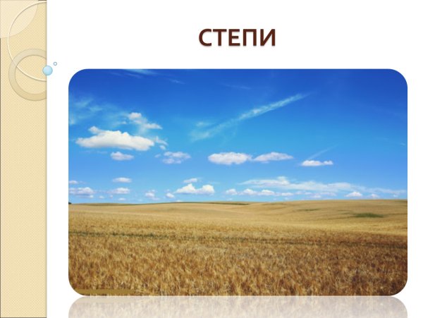 Зона степей