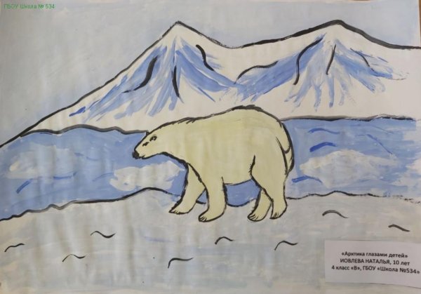 Арктика рисунок