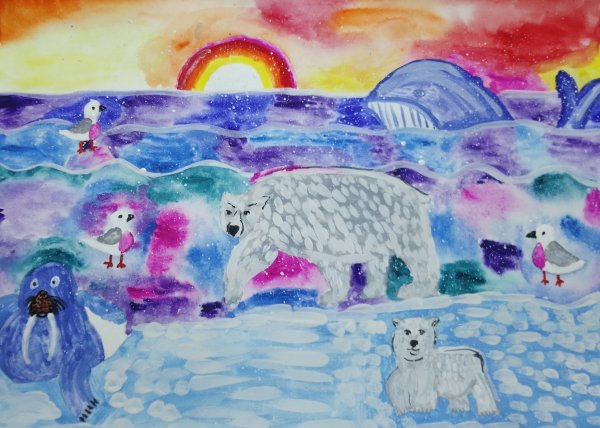 Белый медведь рисунок