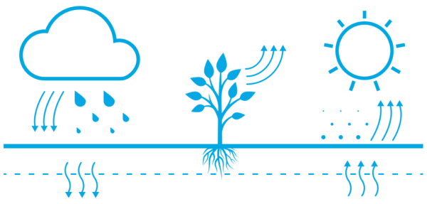 Испарение для детей